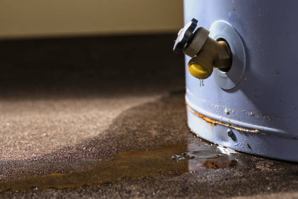 Best Water damage cleanup near me  in Hershey, PA