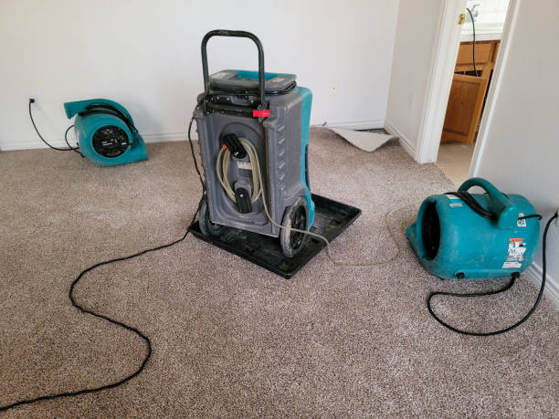 Best Mold removal after water damage  in Hershey, PA