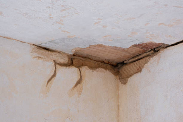 Best Flood restoration services  in Hershey, PA