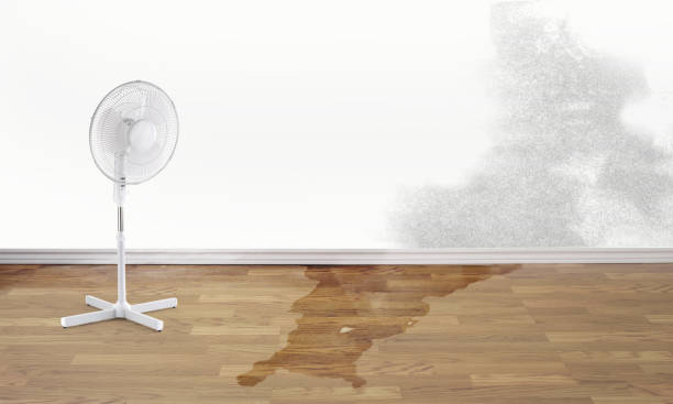 Best Water damage restoration near me  in Hershey, PA