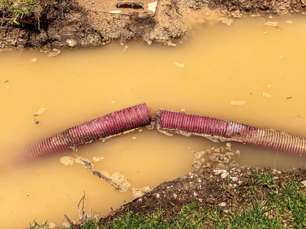 Best Residential water damage restoration  in Hershey, PA