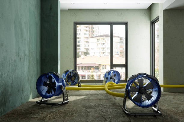 Best Fire Damage Restoration  in Hershey, PA